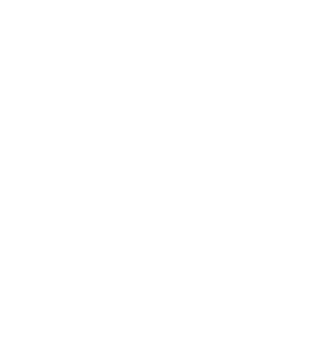 LionInterGroup logo